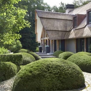 moderne tuin ontwerp