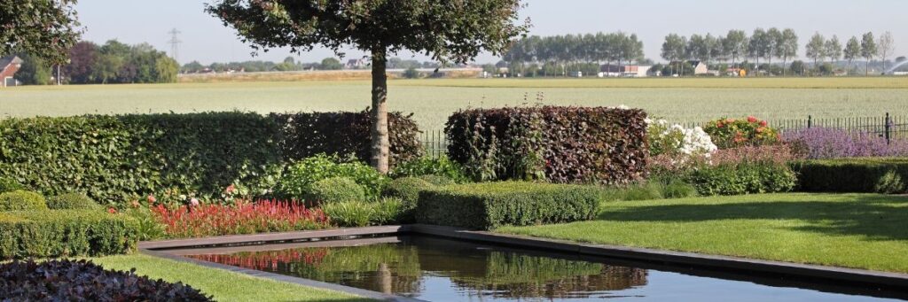 Groengroep | Tophoveniers